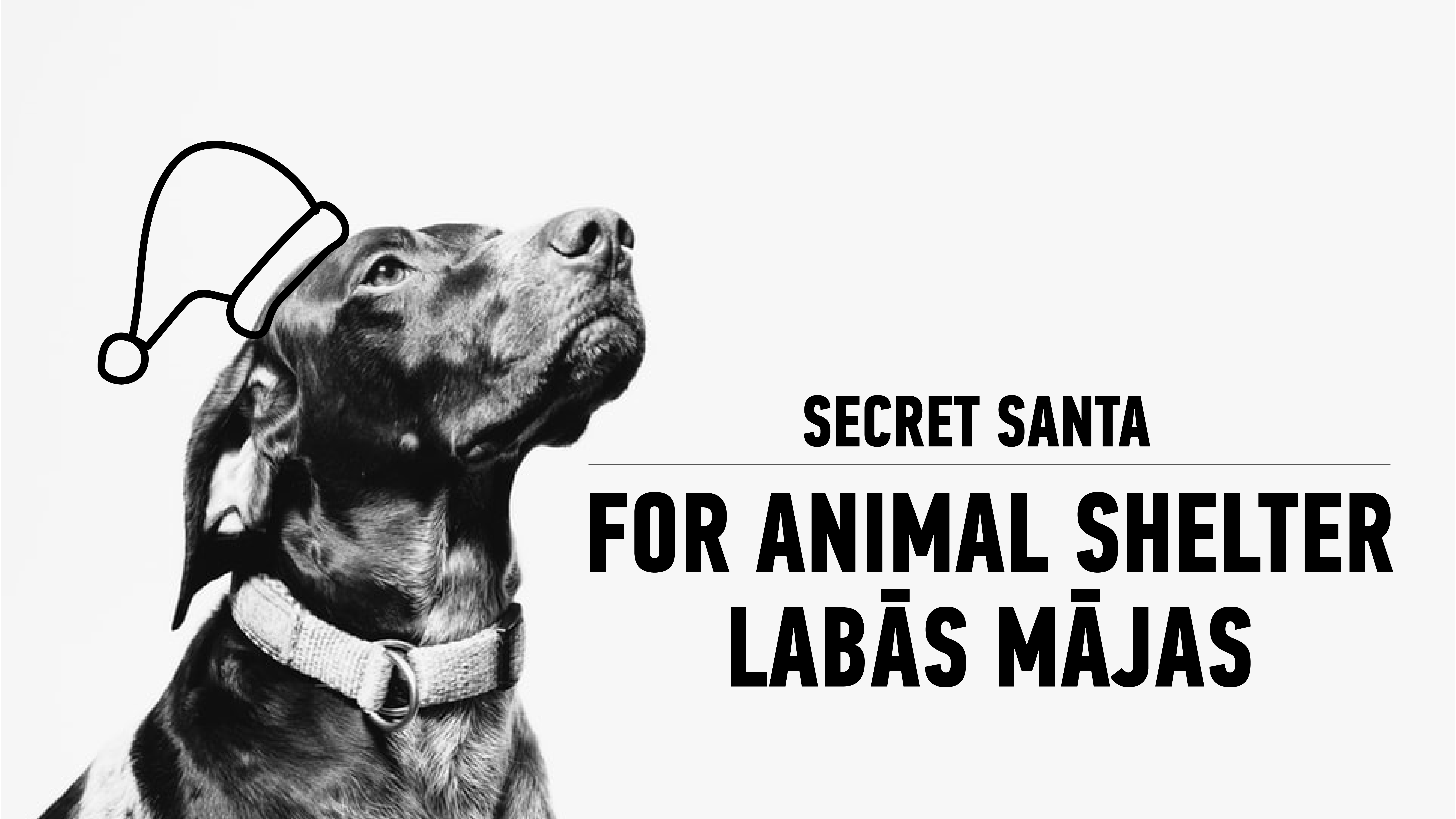 Secret Santa donation for Animal shelter Labās mājas